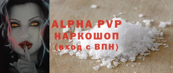 тгк Каменка