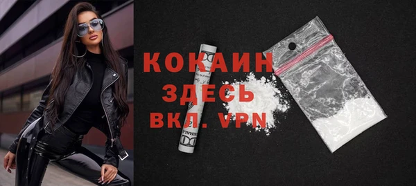 тгк Каменка