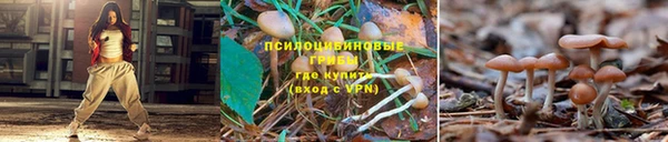 тгк Каменка