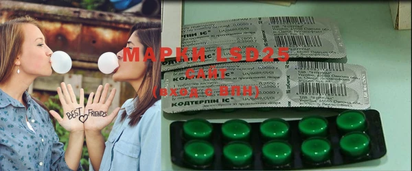 тгк Каменка