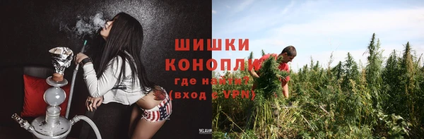 тгк Каменка