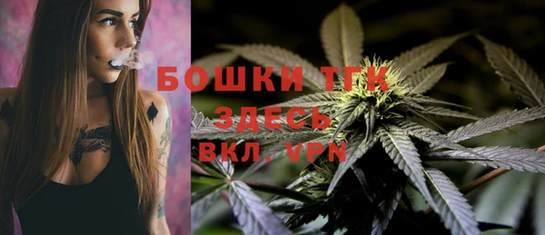 тгк Каменка